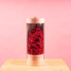 Best-Too Much Red