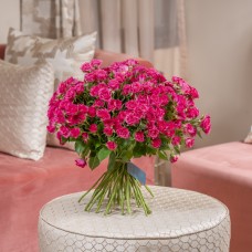 Fantastic Fuchsia