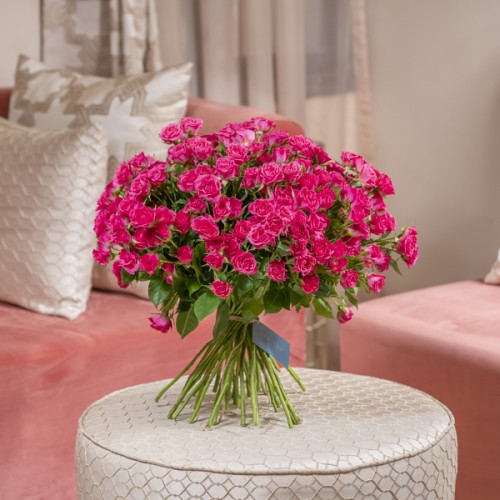 Fantastic Fuchsia