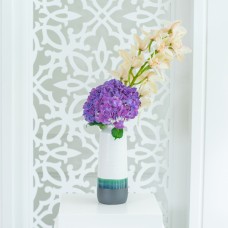 Hydrangea 183