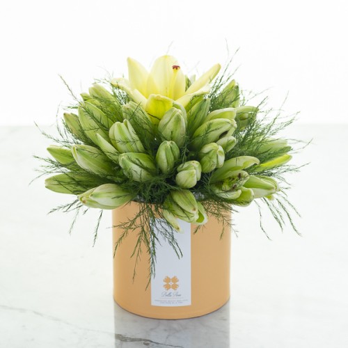 Signature Lily