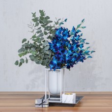 Whisper Blue I