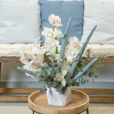 White Haven