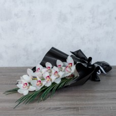 White Love 2