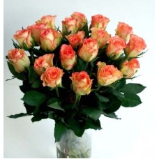Kimp roosadest roosidest, 50cm (15 roses)