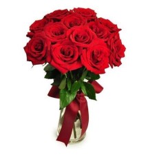 12 Red Roses