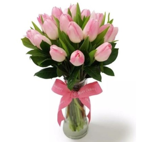 Charming Pink
