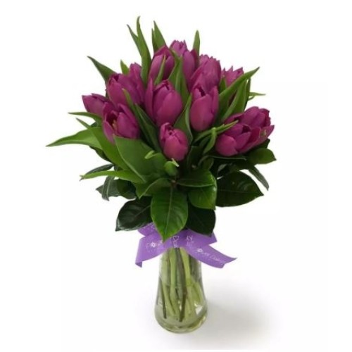 Classic Tulips
