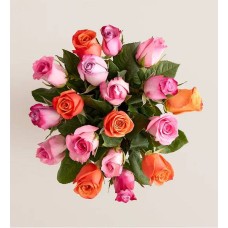 Sorbet Roses (18 Stems with Clear Vase)