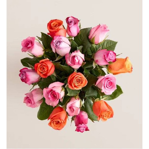 Sorbet Roses (18 Stems with Purple Vase)