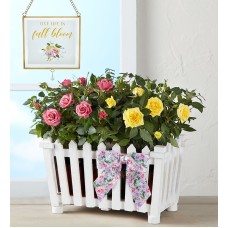 Charming Rose Garden (Large with Suncatcher)