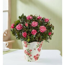Classic Budding Rose (Large with Candle & Lotion)