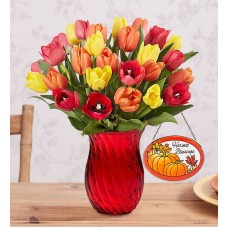 Assorted Fall Tulips (15 Stems with Clear Vase)