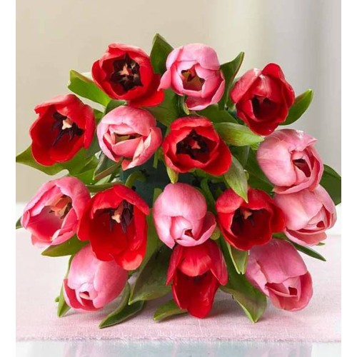 Sweetest Love Tulips (15 Stems, Bouquet Only)
