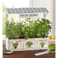 Herb Garden Trio (Herb Garden & Scissors)
