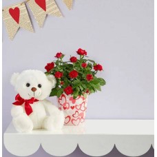 Bundle of Love Rose Plant (Large)