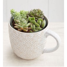 Artisan Mug Succulent Garden