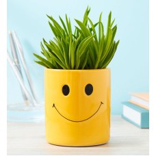 Smiley Succulent