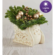 Enchanting Evergreen Sleigh