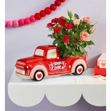 Loads of Love Rose Plant