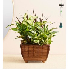 Zen Dish Garden (Small with Windchime)