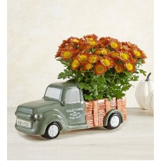 Valley Farms Harvest Truck (Mini Orange Mums)