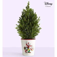 Disney Mickey Mouse & Friends Holiday Spruce (Holiday Tree with Lights)
