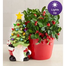 Gnome for the Holidays Winterberry