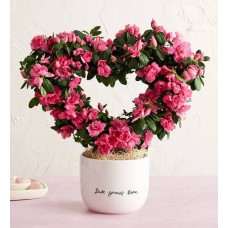 Love Grows Here Azalea Topiary
