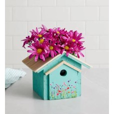 Birdhouse of Blooms (Birdhouse of Blooms)