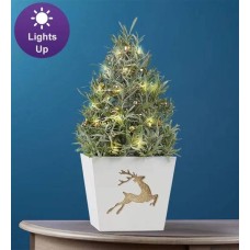 Fragrant Holiday Lavender Tree (Lavender Tree with Ornament)