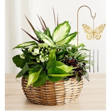 Butterfly Chime Dish Garden