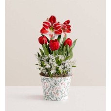Holiday Charm Bulb Garden (Large with Keepsake)
