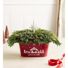 Peace on Earth Evergreens (Peace on Earth Evergreens with Lights)