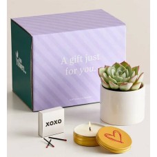 Celebration Succulents Crazy for You