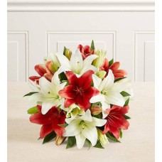Holiday Lily Bouquet (7 Stems, Bouquet Only)