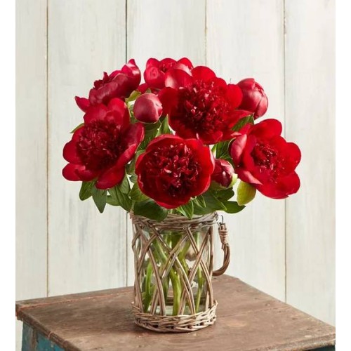 Red Peonies for Valentine's Day (10 Stems with Wicker Vase)