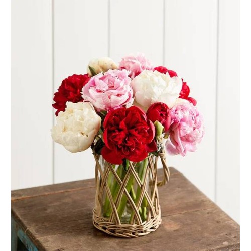 Red, White & Pink Peony Bouquet (10 Stems with Wicker Vase)