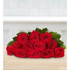 Full of Love Red Roses, 12 Stems (Bouquet Only)