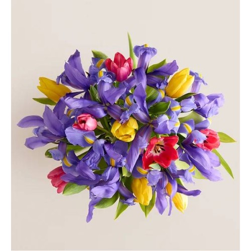 Fanciful Spring Tulip & Iris Bouquet (with Floral Meadow Vase)