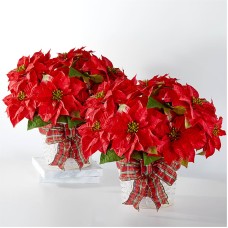 Happiest Holidays Poinsettia Bundle