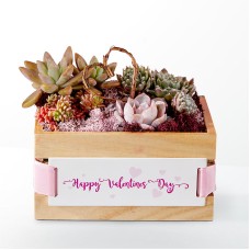 Happy Valentine's Day Succulent Crate
