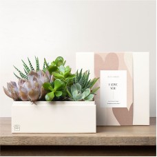 Lula's Garden - Love Premium Gardens (Lush Garden)