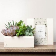 Lula's Garden - Holiday Premium Gardens (Lush Garden)