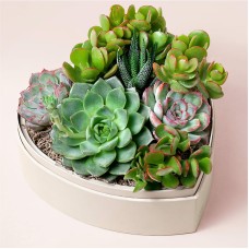 Lula's Heart Garden