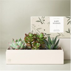 Lula's Garden - Holiday Deluxe Gardens (Verdant Garden)