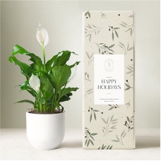 Lula's Garden - Holiday Plants (Poinsettia Plant)