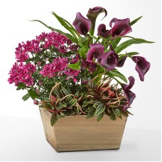 Fresh for Fall Garden