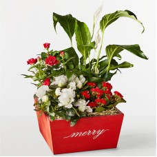 Merry and Bright Garden