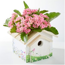 Spring Plant in Decorative Birdhouse